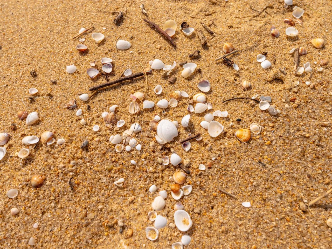 Pousada Pe Na Areia Caraguatatuba Eksteriør billede